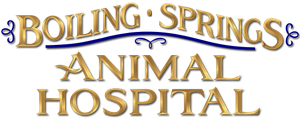 Boiling Springs Animal Hospital logo
